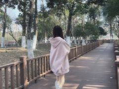 -青枫公园
