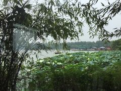 湖畔居茶楼-湖畔居茶楼(湖滨店)