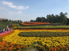 景点-天府芙蓉园