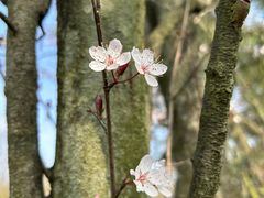 -桤木河湿地公园