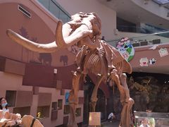 -陕西自然博物馆