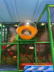 -KidSteam儿童乐园(富力城店)