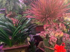 -三旗百汇商品城