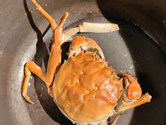 -好爸爸(外滩店)