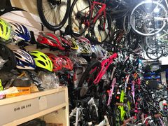 -道路口单车爱瓦士dahon大行