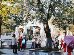 -大理文庙(大理古城)