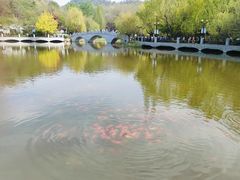 -大连植物园