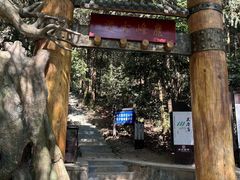 -长沙黑麋峰国家森林公园