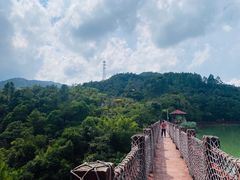 -广州白江湖森林公园