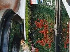 -广州白云国际机场-T2航站楼