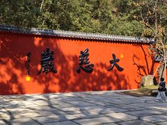 -大慈岩风景区