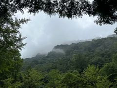 -青城山