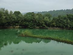-九龙潭景区
