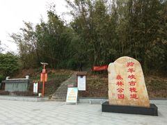 -羚羊峡古栈道森林公园