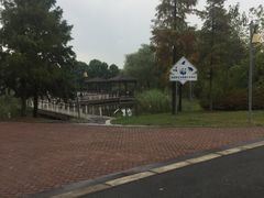 -同里国家湿地公园