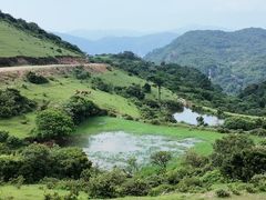 -大姆山草场