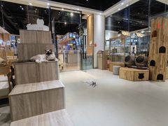 -藏猫猫咖啡主题馆(中央大道店)