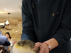 -肆月河豚·新淮扬(金融街店)