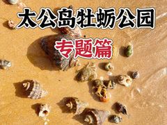 -巧克力渔家.小船海鲜胶东菜(万平口店)