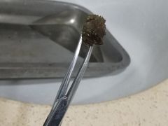 -宠颐生嘉德动物医院