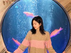 -莉莉海堂HAITANG·烤鸭(国贸商城店)