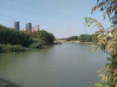 -九里河湿地公园
