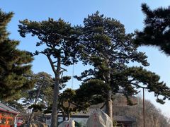 -妙峰山风景名胜区