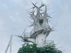 -芒洲湿地公园