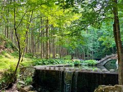 -洛阳白云山景区