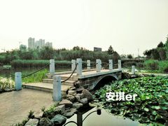 -前关湿地公园