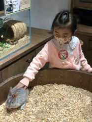 -Zoolung Zoolung动物主题公园(海信广场店)