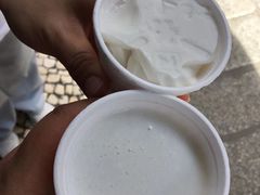 -洪馨椰子