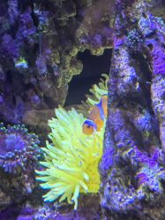 -Zoolung Zoolung动物主题公园(海信广场店)