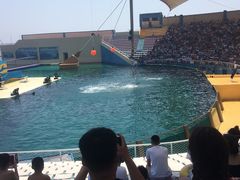 -秦皇岛乐岛海洋王国