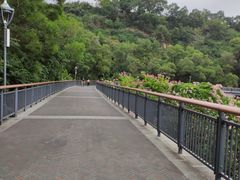 -金鸡山公园