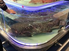 -盒马X会员店(上海森兰商都店)