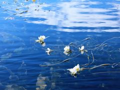 -丽江泸沽湖景区