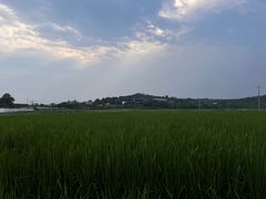 -栖凤渡鱼粉基地凤楚传奇
