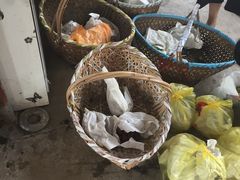 -马陆小张葡萄园农家乐