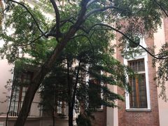 -香港大学