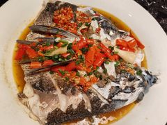 -力力渔港涉外店