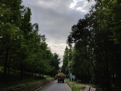 -上海长兴岛郊野公园