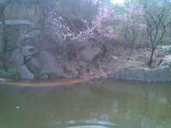 -封龙山风景区