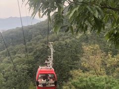 -沂蒙山旅游区云蒙景区(蒙山国家森林公园)