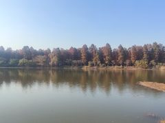 -渌洋湖湿地公园