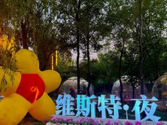 -维斯特·夜烤牛肋条任吃
