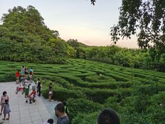 -大屏嶂森林公园