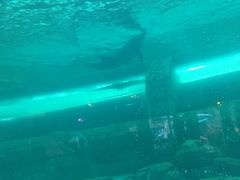 -波塞冬旅游度假区