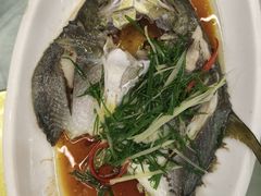 金昌鱼-众味海鲜大排档·活海鲜·潮汕味(南澳店)