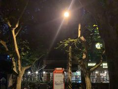 -Boxing Cat Brewery拳击猫精酿啤酒馆(永福店)